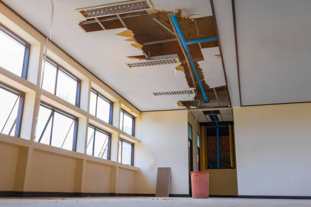 Best Flood restoration services  in Marion, SC