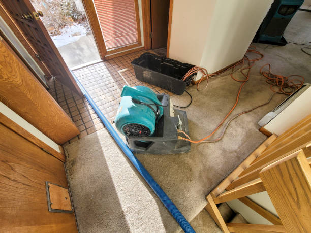 Best Water damage contractors near me  in Marion, SC