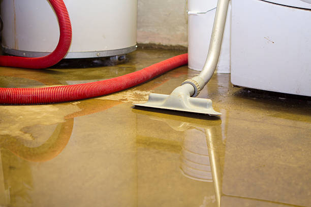 Professional Water damage restoration in Marion, SC